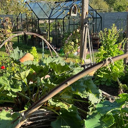 Orchardhouse Farmhouse, Wellness Chrast  المظهر الخارجي الصورة