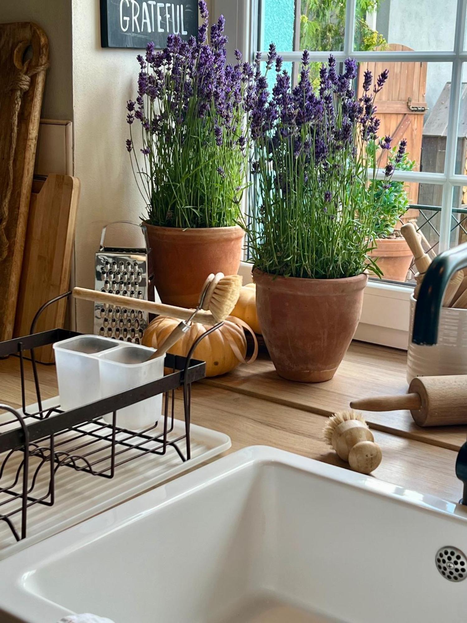 Orchardhouse Farmhouse, Wellness Chrast  المظهر الخارجي الصورة