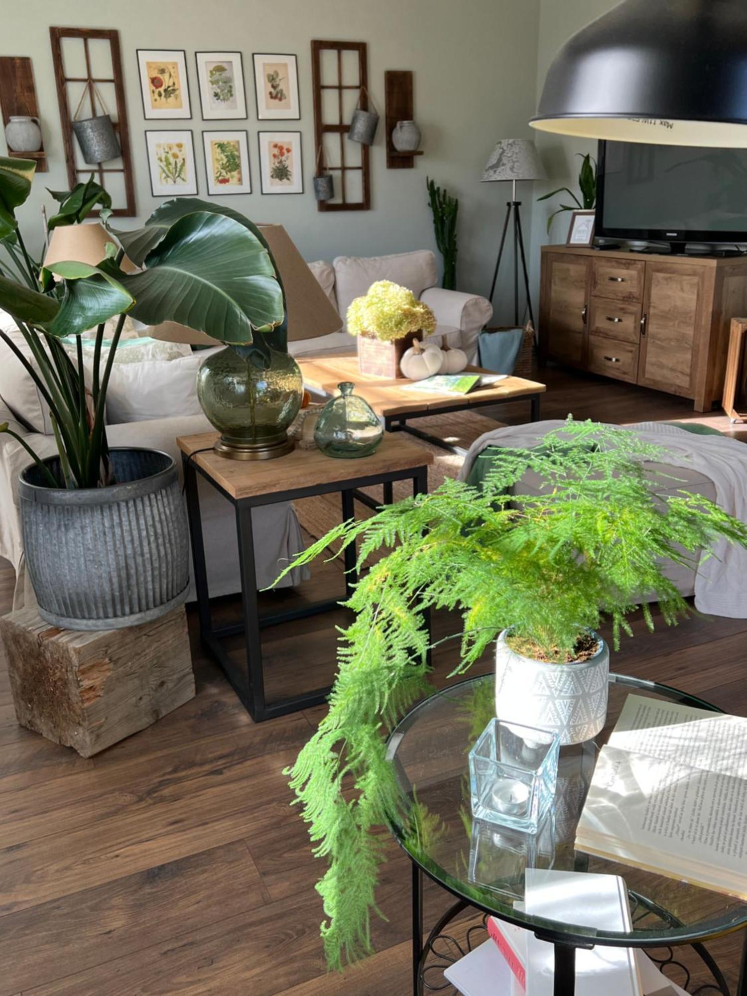Orchardhouse Farmhouse, Wellness Chrast  المظهر الخارجي الصورة